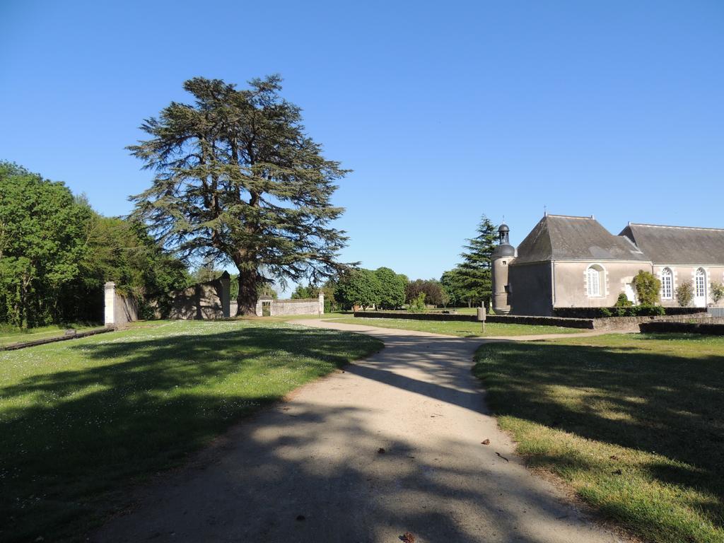 Le Domaine Des Lys Hotel Ancenis Buitenkant foto