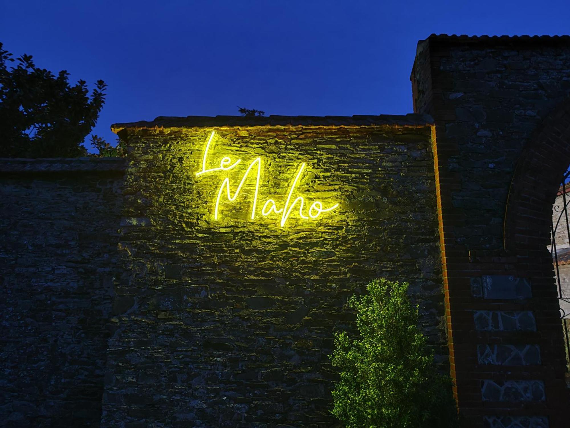 Le Domaine Des Lys Hotel Ancenis Buitenkant foto