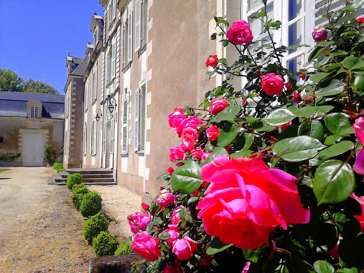 Le Domaine Des Lys Hotel Ancenis Buitenkant foto